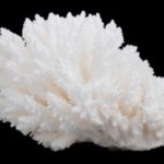 Terre 2 Verre corail-blanc mort